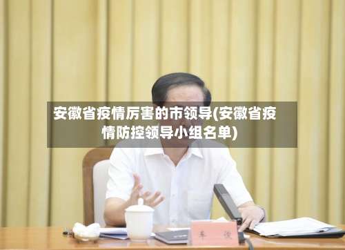 安徽省疫情厉害的市领导(安徽省疫情防控领导小组名单)-第2张图片