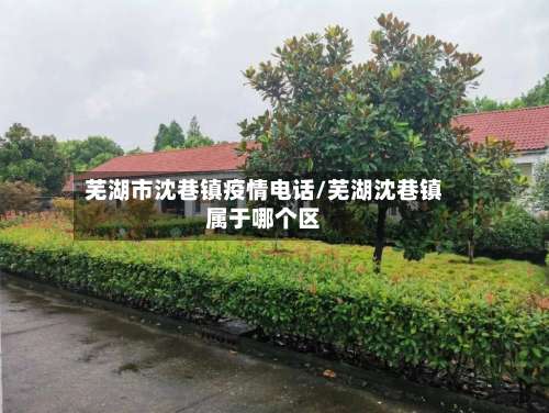芜湖市沈巷镇疫情电话/芜湖沈巷镇属于哪个区-第2张图片
