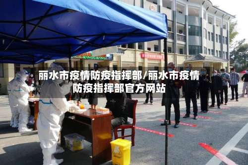 丽水市疫情防疫指挥部/丽水市疫情防疫指挥部官方网站-第2张图片