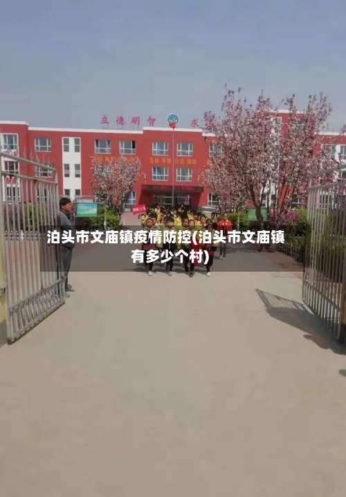 泊头市文庙镇疫情防控(泊头市文庙镇有多少个村)-第3张图片