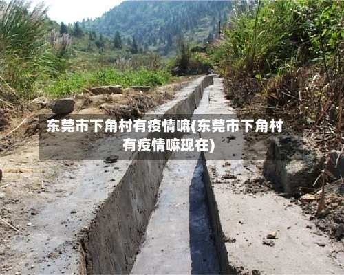 东莞市下角村有疫情嘛(东莞市下角村有疫情嘛现在)-第2张图片