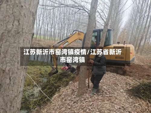 江苏新沂市窑湾镇疫情/江苏省新沂市窑湾镇-第1张图片