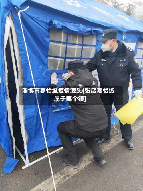 淄博市嘉怡城疫情源头(张店嘉怡城属于哪个镇)-第1张图片