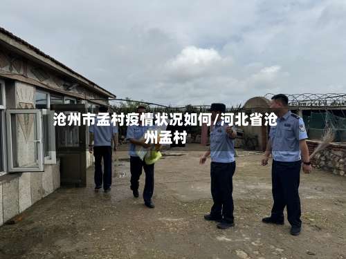 沧州市孟村疫情状况如何/河北省沧州孟村-第3张图片