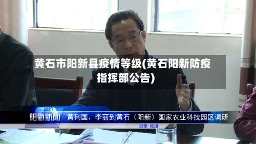 黄石市阳新县疫情等级(黄石阳新防疫指挥部公告)-第2张图片
