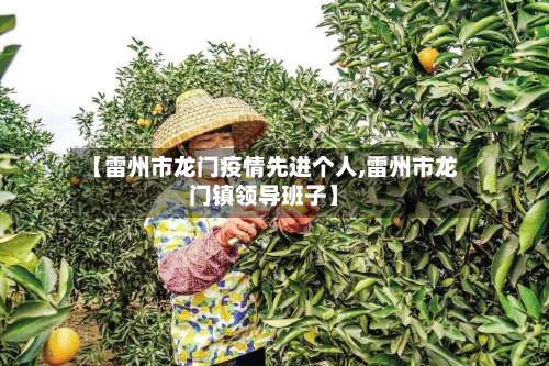 【雷州市龙门疫情先进个人,雷州市龙门镇领导班子】-第3张图片