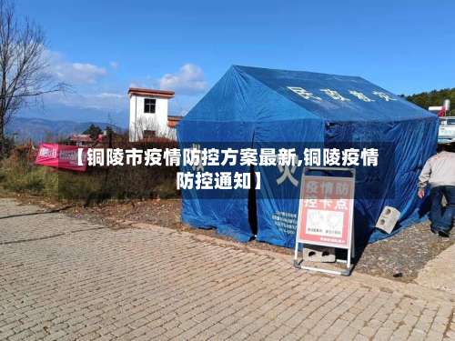 【铜陵市疫情防控方案最新,铜陵疫情防控通知】-第2张图片