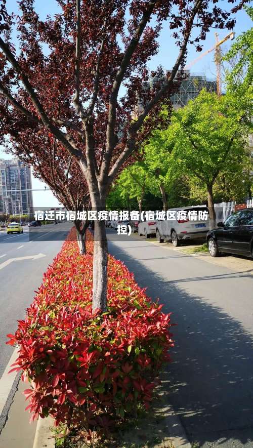 宿迁市宿城区疫情报备(宿城区疫情防控)-第1张图片