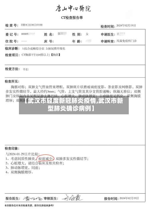 【武汉市轻度新冠肺炎疫情,武汉市新型肺炎确诊病例】-第3张图片