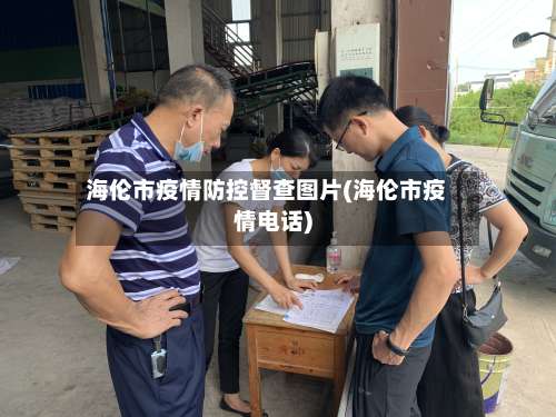 海伦市疫情防控督查图片(海伦市疫情电话)-第2张图片