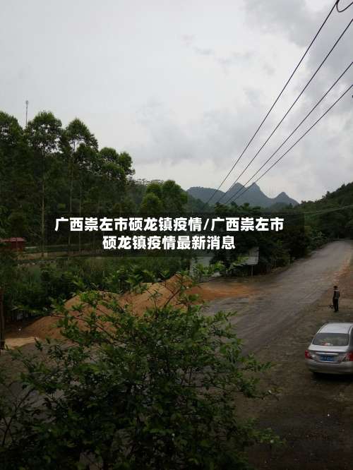 广西崇左市硕龙镇疫情/广西崇左市硕龙镇疫情最新消息-第1张图片