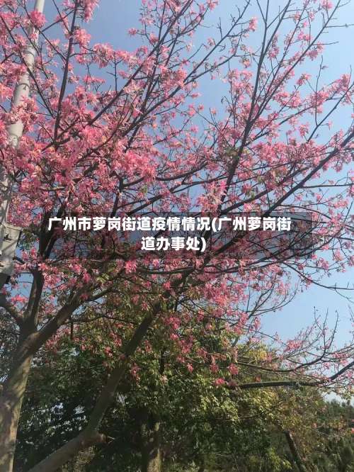 广州市萝岗街道疫情情况(广州萝岗街道办事处)-第2张图片