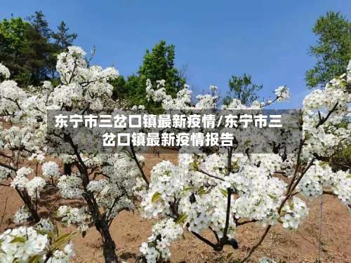 东宁市三岔口镇最新疫情/东宁市三岔口镇最新疫情报告-第1张图片