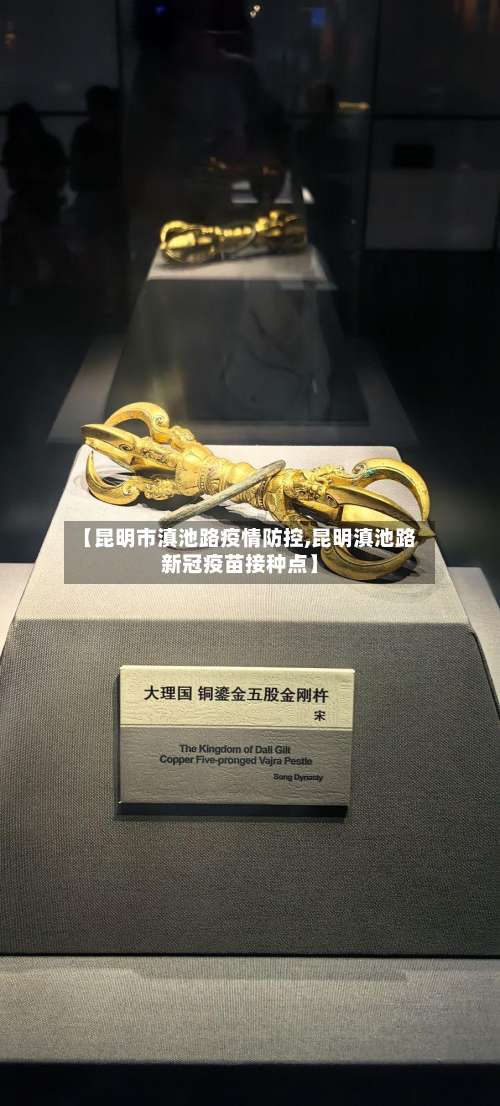 【昆明市滇池路疫情防控,昆明滇池路新冠疫苗接种点】-第1张图片