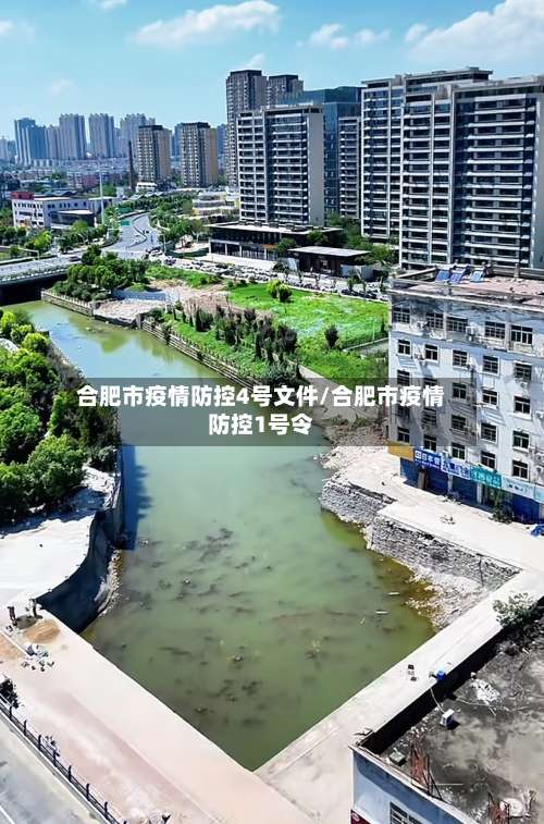合肥市疫情防控4号文件/合肥市疫情防控1号令-第1张图片