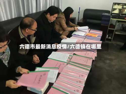 六德市最新消息疫情/六德镇在哪里-第2张图片