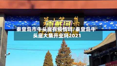 秦皇岛市牛头崖有疫情吗/秦皇岛牛头崖大集开业吗2021-第1张图片