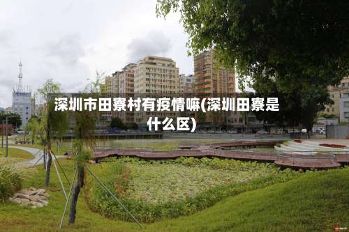 深圳市田寮村有疫情嘛(深圳田寮是什么区)-第1张图片