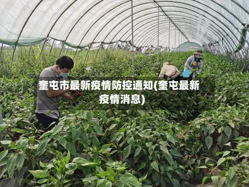 奎屯市最新疫情防控通知(奎屯最新疫情消息)-第1张图片