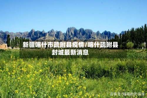 新疆喀什市疏附县疫情/喀什疏附县封城最新消息-第1张图片